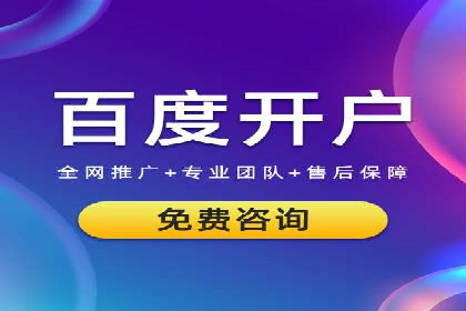 某电商企业如何通过百度竞价广告提升销售额